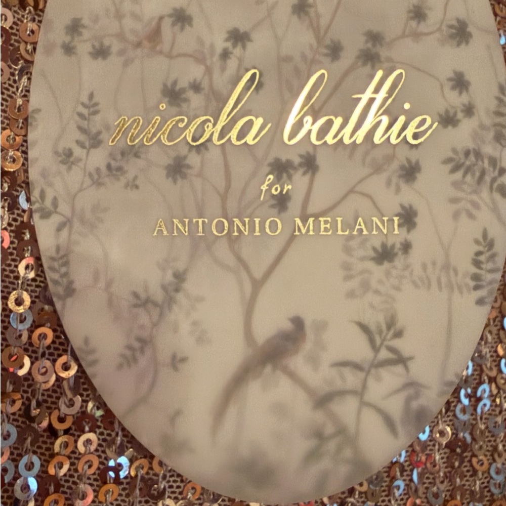 Antonio Melani × Nicola Bathie Nicola Sequin  Feathered A-Line Maxi Dress 0 - Picture 6 of 7